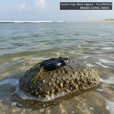 CORAL INDIA Soft Bait Plastic Fishing Lure(Pack of 1)