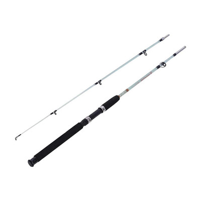 ezzy Solid Section 8 Feet 2-Piece Detachable Spinning Rod, Durable, Lightweight New_Supersolid8ft001 White Fishing Rod(240 cm, 0.45 kg, White)