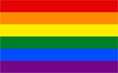 The Flag Company Rainbow Flag 6 Stripes - Pride Flag with Brass Grommets 3 Ft X 5 Ft Rectangle Outdoor Flag(Polyester)