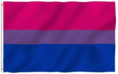 The Flag Company Bi Pride Flag - 3 Ft X 5 Ft Rectangle Outdoor Flag(Polyester)