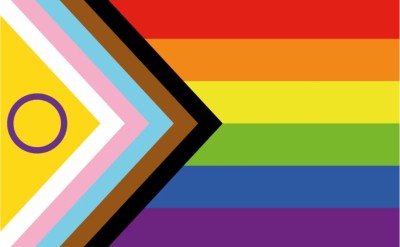 The Flag Company New Progress Pride Flag - 3 Ft X 5 Ft Rectangle Outdoor Flag(Polyester)