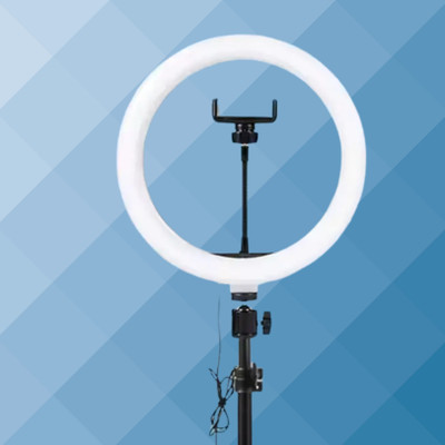 BITWEAVE 10-Inch Ring Light for YouTube and Reels with Mobile Holder Ring Flash(White)