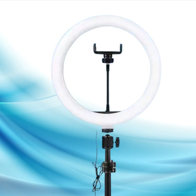 BITWEAVE 10 Inch Ring Light – Ideal for Portrait Photography Ring Flash(White)