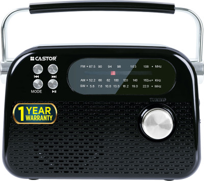 CASTOR FM820BT Portable Radio with FM & Bluetooth Speaker, USB MP3 Player, Rechargeable FM Radio(Black)