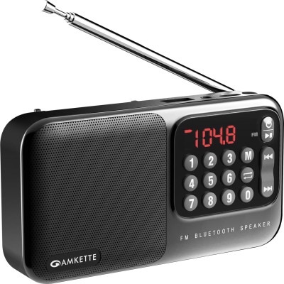 AMKETTE Pocket Mate Bluetooth Speaker with USB, SD Card and Headphone Jack FM Radio(Black)