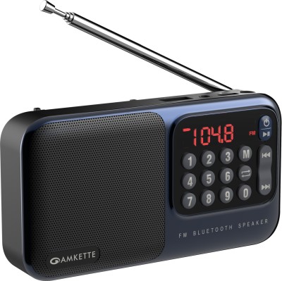 AMKETTE Pocket Mate Bluetooth Speaker with USB, SD Card and Headphone Jack FM Radio(Blue)