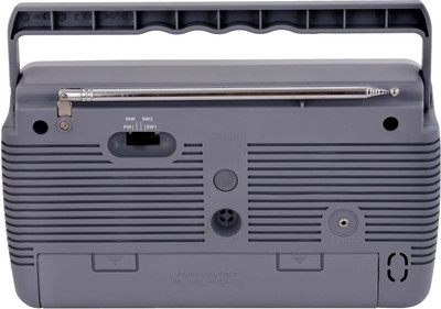 Philips Audio RL384/94 FM Radio(Grey)
