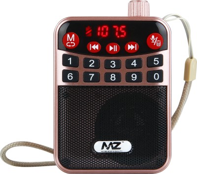 MZ M63VP (Multimedia Digital Player) with Bluetooth FM 3W Speaker FM Radio(Gold)