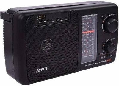 TECH-LOBBY TL-CRETA FM Radio(Black)