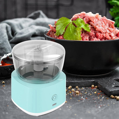 Wishbone FOOD PROCESSOR ELECTRIC 220 W Food Processor(Multicolor)