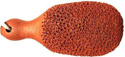 ClayWalaz Terracotta Natural Pumice Stone Foot Scrubber/eco Friendly Dead Skin Remover(Brown)