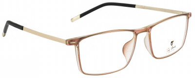 Ted Smith Full Rim Wayfarer Frame(51 mm)