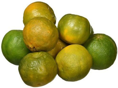 Orange Nagpur(4 Units)