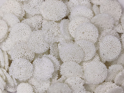 Veganic SabudanaCoinPapad|Vrat/FastSpecialSmallSago Fryums(400 g)