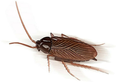 Cyrus Real Looking Rubber Prank Fake Cockroach Toys for Kids,Girls,Boys,Adults Fake Cockroach Gag Toy(Brown)