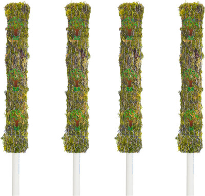 Dr Arya Moss Stick 1.5 feet Set of 4 Garden Mulch(Greem::White 4 kg)