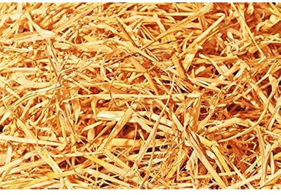 Retail Charms Rice Paddy Straw for Mushroom Farming,Gardening,Natural Rice Straw for Mulching Garden Mulch(Rice Paddy Straw for Mushroom Farming,Gardening,Natural Rice Straw for Mulching 1 kg)