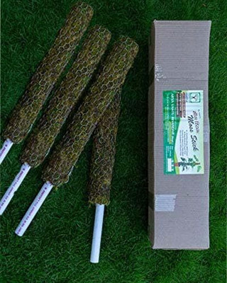 Dr Arya Moss Stick 1.5 feet Set of 4 Garden Mulch(Greem::White 0.6 kg)