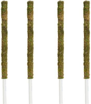 Dr Arya Moss Stick 3 feet Set of 4 Garden Mulch(Green::White 4 kg)