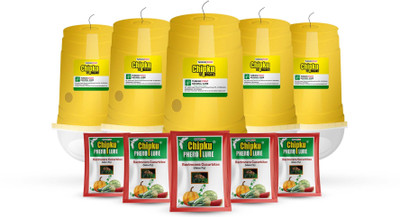 Chipku GLASS TRAP WITH MELON LURE PACK OF 10(10 x 1 Units)