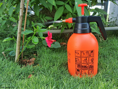 Sharp Garuda Pressure Spray Pump|Home Terrace Gardening Plant,Flower Water Spray Can 2 L Hand Held Sprayer(Pack of 1)