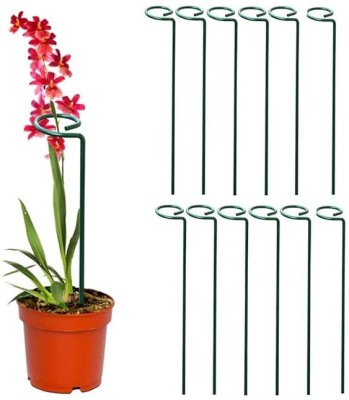 CS3HUB 45 cm Iron Garden Stake(Pack of 12)