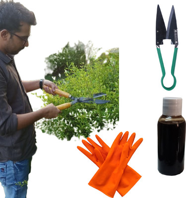 GREEN TOUCH Grass Cutter,Orange Gloves,Oil,Green Cutter Garden Tool Kit(5 Tools)