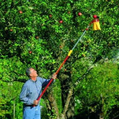 WOLF GARTEN Multi Star Fruit Basket/Picker with Handle RG-M + ZM -V4 Garden Tool Kit(2 Tools)
