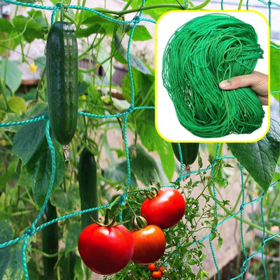ecofynd Garden Trellis Netting for Climbing Plants Outdoor, 6x3 ft Plant Creeper Net Garden Tool Kit(3 Tools)