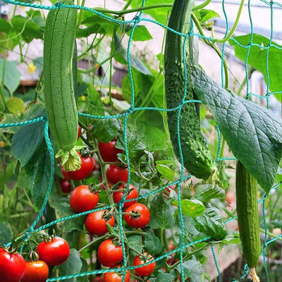 I Geon Plant Support net for Agriculture and Gardening 10Ft.x100Ft. Garden Tool Kit(1 Tools)