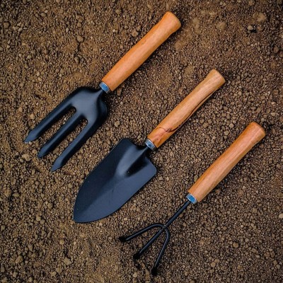 DeoDap Garden Tool Set | Garden Tools Wooden Handle | Gardening Tools Kit( Hand Cultivator, Big Trowel, Garden Fork) 03 Garden Tool Kit(3 Tools)