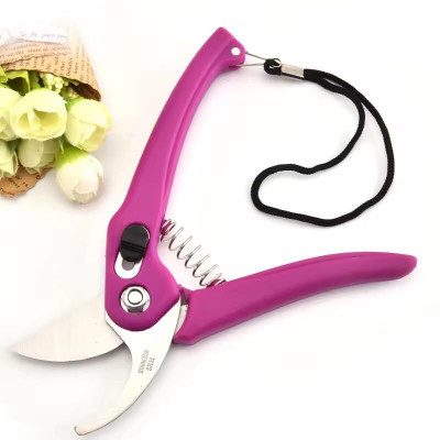 shruthi Ritco-GS 906 Garden Tool Kit(1 Tools)