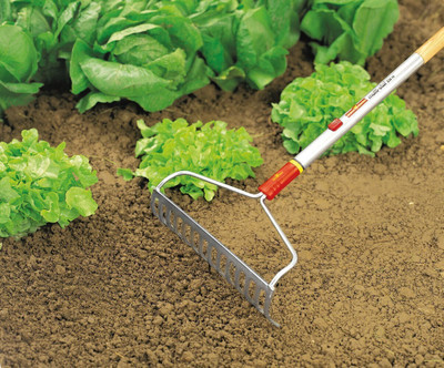 WOLF GARTEN Multi Star Bow Rake Without Handle DO-M 40 Garden Tool Kit(1 Tools)