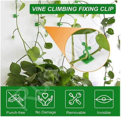 SIDDIVINAYAK CREATION A_Plant Climbing Wall Clips Self-Adhesive Money Plant Support Garden Tool Kit(30 Tools)