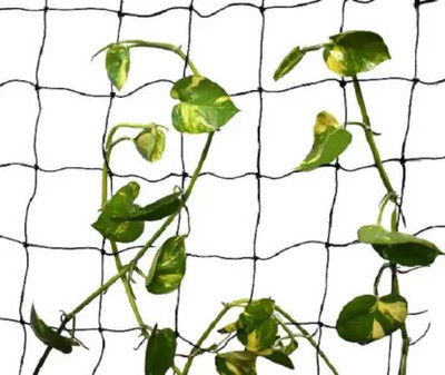 grenfel Plant Climbing Net Creeper Support 15Ft x 6Ft Gardening Netting Blue Colour Garden Tool Kit(1 Tools)