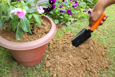 FALCON FWT-2002 PREMIUM HAND DIGGING TROWEL Garden Tool Kit(1 Tools)