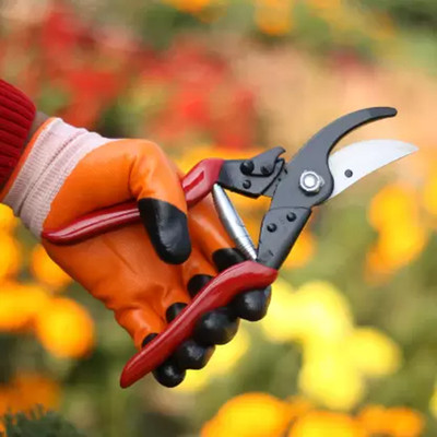Unique Collection Hub Major Garden Tool Kit(1 Tools)