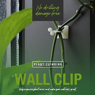 SIDDIVINAYAK CREATION A_30 Pcs Money Plant Support Clips Self-Fixture Wall Vines Sticky Hook Garden Tool Kit(30 Tools)