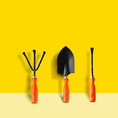 10club KTS_3C_TOL_TRW_BG_CLT_WD Garden Tool Kit(3 Tools)