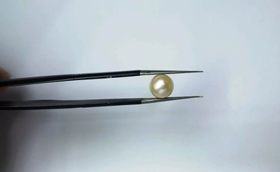 AMOGH JEWELS White Cut Natural Pearl Gemstone(10 carat)