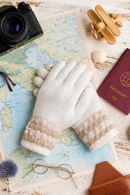DesoRia Embellished, Printed Winter Women Gloves