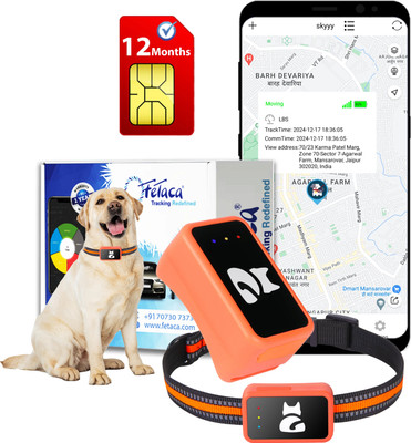 fetaca 4G GPS Pet Tracker Collar for Dogs, Cats – Real-Time Tracking Device GPS Device(Orange)