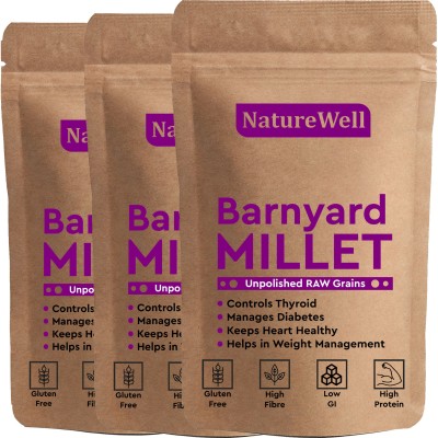 Naturewell Unpolished Barnyard Millets 2 Kg X 3 (Jhangora/Udalu/Khira/Siridhanya/Swank) Barnyard Millet(6 kg, Pack of 3)