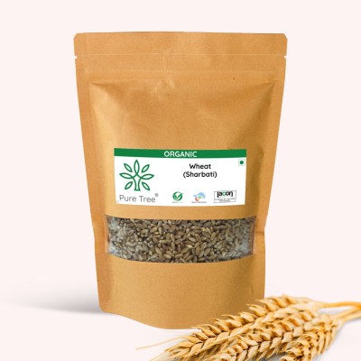 Pure Tree Certified Organic | Wheat MP Sihori | Gehu | Sharbati Wheat | Whole Wheat Grain Whole Wheat(1.9 kg)