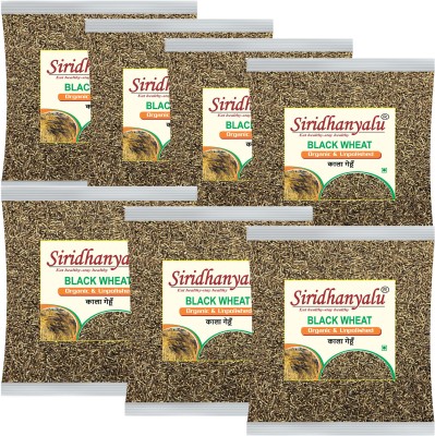 siridhanyalu Black Wheat Grain (7Kg) Whole Wheat(7 kg, Pack of 7)