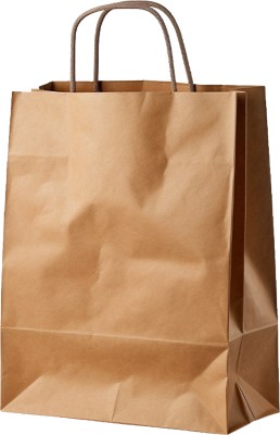 Pack2Eat Pack of 50 Grocery Bags(Brown)