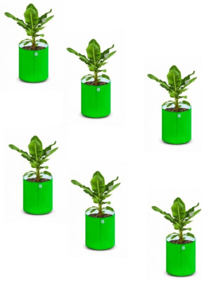 Future Organic System Green Grow bag -240 gsm18*18- 6 sheet, Indoor,outdoor,terrace,balcony gardening Grow Bag