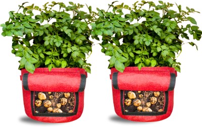 ORGANICBAZAR 15x12 Potato Grow Bag with Harvest Window, Geo Fabric 450 GSM, Pack of 2, Maroon Grow Bag