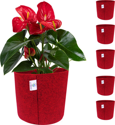 india green innovative Herbs: Ideal for growing herbs like basil, mint, thyme, chives, and oregano. Grow Bag