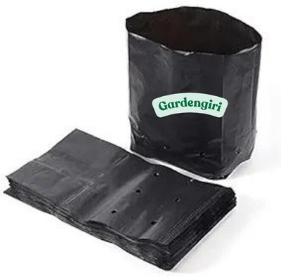gardengiri UV Protected Bio Degradable Nursery Plants Bags 8x10 inch for Seedling/Sapling Grow Bag